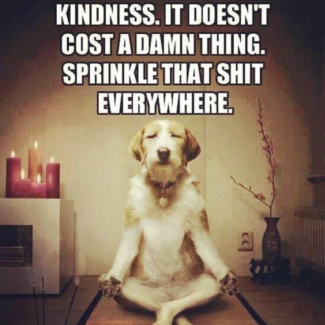 Wholesome memes, Kindness Wholesome Memes Wholesome memes, Kindness text: KINDNESS. IT DOESN'T COST A DAMN THING. SPRINKLE THAT SHIT EVERYWHERE. 