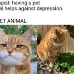 other memes Funny, Garfield, Marvin text: Therapist: having a pet animal helps against depression. MY PET ANIMAL: ingflipcom  Funny, Garfield, Marvin