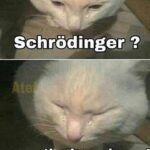 other memes Funny, Schro, Schrodinger text: Schrödinger ? open the box please!  Funny, Schro, Schrodinger