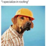 cringe memes Cringe,  text: "l specialize in roofingl