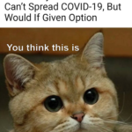 other memes Funny, ALL HAIL THE PUSSY, Europeans, COVID text: Culture New Study Confirms Cats Can