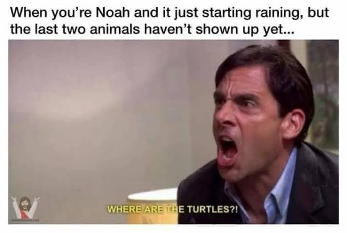 Christian, Irish, Noah Christian Memes Christian, Irish, Noah text: When you're Noah and it just starting raining, but the last two animals haven't shown up yet... WHERE'AREfr E TURTLES?! 