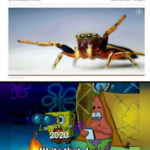 Spongebob Memes Spongebob,  text: If spiders worked together, they could eat all humans in a year Oy Sun Write that down, write that down!  Spongebob, 