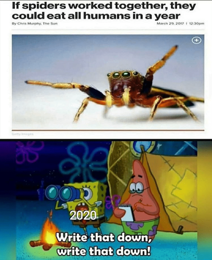 Spongebob,  Spongebob Memes Spongebob,  text: If spiders worked together, they could eat all humans in a year Oy Sun Write that down, write that down! 