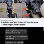 other memes Dank, David Bowie text: MYPETSDOG.COM Blind Woman Told To Get Off Bus Because "Guide Dogs Can