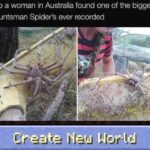minecraft memes Minecraft, Goliath text: So a woman in Australia found one of the biggest Huntsman Spider