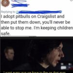 Star Wars Memes Sequel-memes, Pitbulls, TotesMessenger, Star Wars, Karen, Bella text: Replying to I adopt pitbulls on Craigslist and then put them down, you