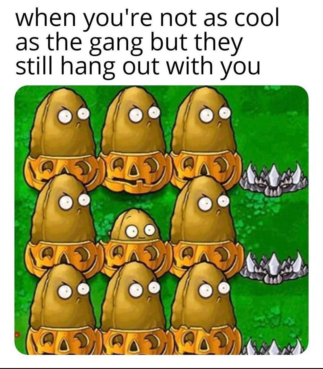 Wholesome memes, No Wholesome Memes Wholesome memes, No text: when you're not as cool as the gang but they still hang out with you 