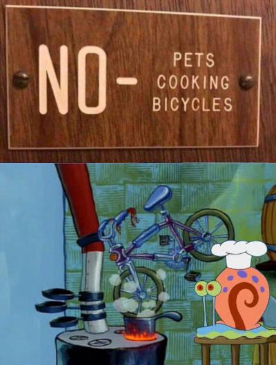 Spongebob Meme, Gary, Cooking, Bike Spongebob Memes Spongebob, Gary, Garry, Spongebob, No text: PETS — COOKING BICYCLES 