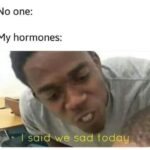 depression memes Depression,  text: No one: My hormones: e sad today  Depression, 