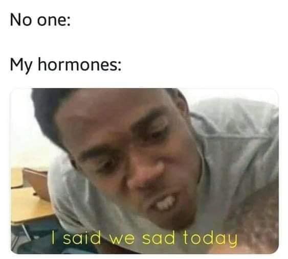 Depression,  depression memes Depression,  text: No one: My hormones: e sad today 