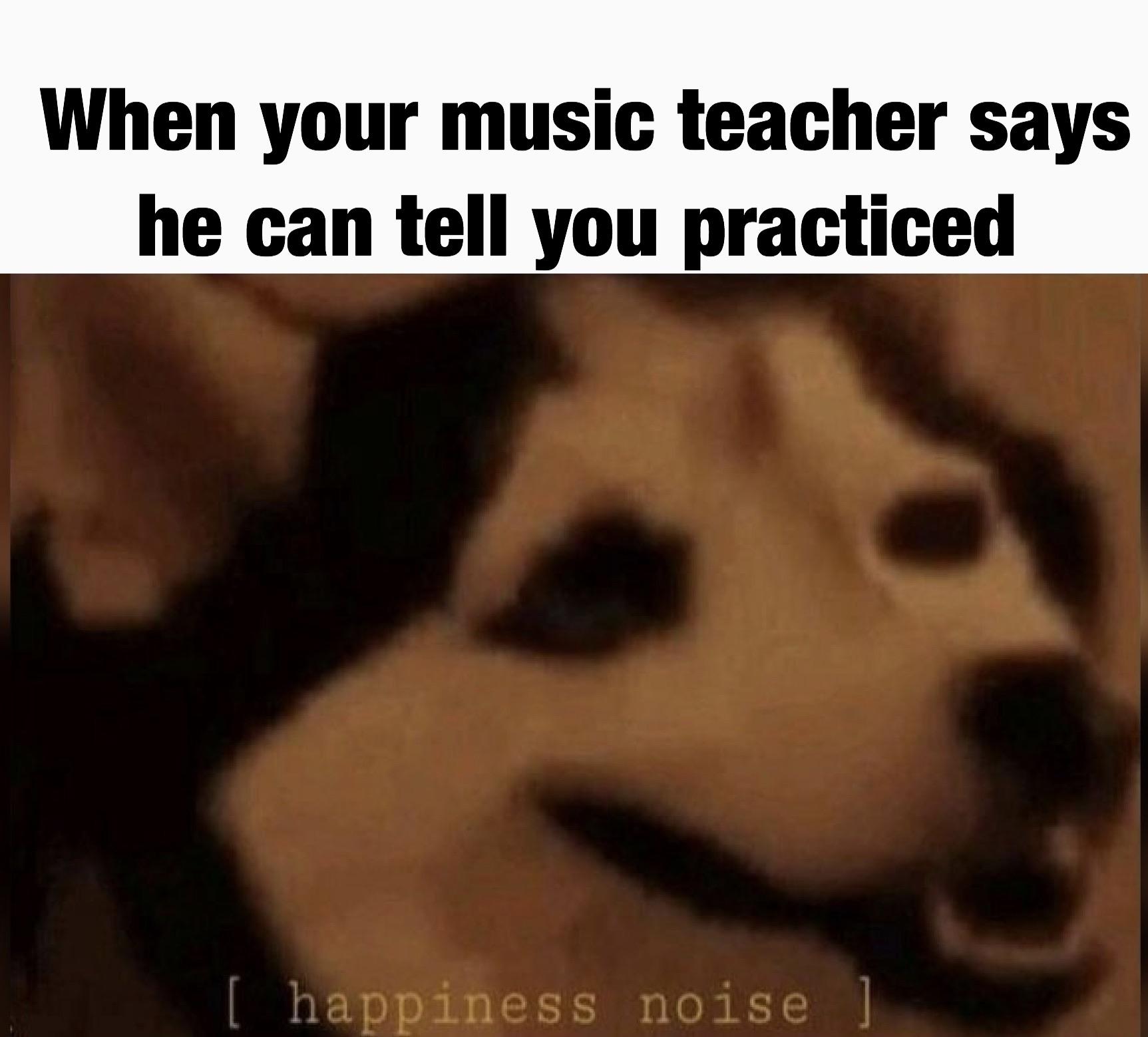 Wholesome memes,  Wholesome Memes Wholesome memes,  text: When your music teacher says he can tell you practiced [ happiness noise ] 