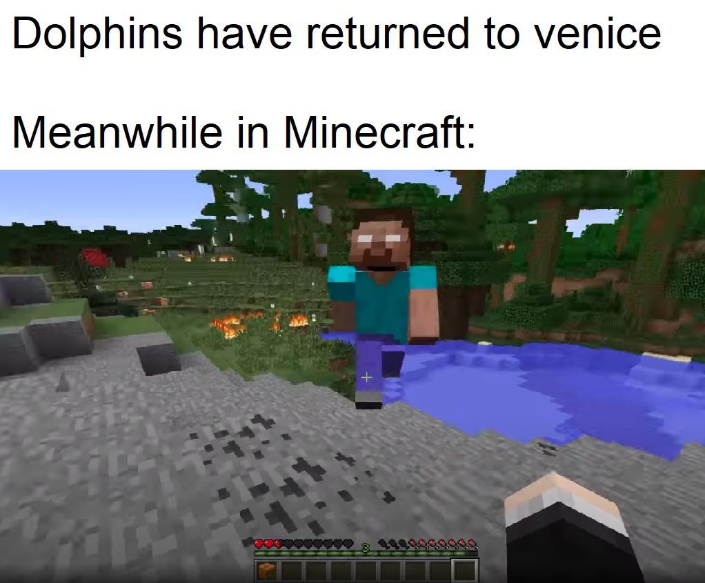 Minecraft, Venice, Paris, Venezia, Death, In English minecraft memes Minecraft, Venice, Paris, Venezia, Death, In English text: Dolphins have returned to venice Meanwhile in Minecraft: 