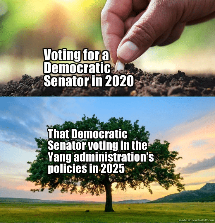 misc memes misc text: Senatorin 2020 That Democratic Senatoivoting in the Yang administration's policies in.2025 