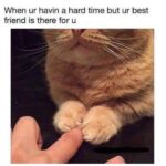 Wholesome Memes Wholesome memes,  text: When ur havin a hard time but ur best friend is there for u  Wholesome memes, 
