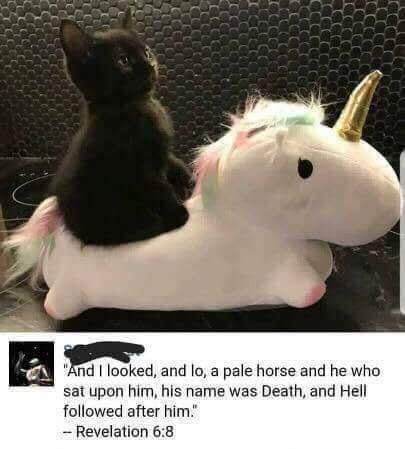 Christian, Hell, Visit, Searched Images, Search Time, RepostSleuthBot Christian Memes Christian, Hell, Visit, Searched Images, Search Time, RepostSleuthBot text: nd I looked, and 10, a pale horse and he Who sat upon him. his name was Death, and Hell followed after him.