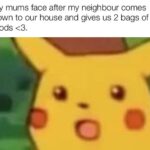 Wholesome Memes Wholesome memes, Thank text: My mums face after my neighbour comes down to our house and gives us 2 bags of foods <3. o  Wholesome memes, Thank