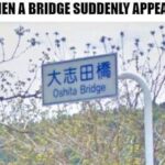 other memes Dank,  text: WHEN A BRIDGE SUDDENLY APPEARS Oshfta Bridge  Dank, 