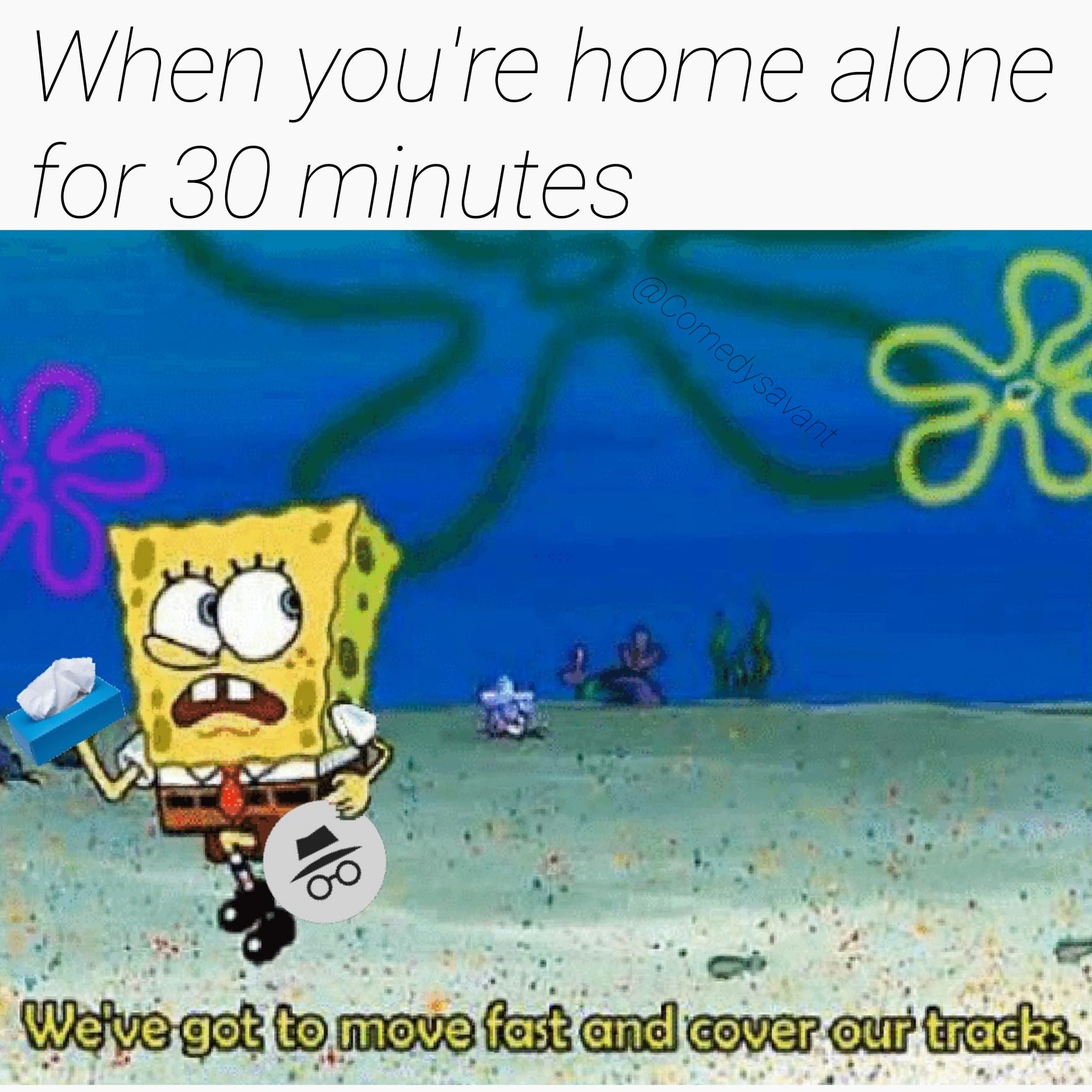 Spongebob, Gotta Spongebob Memes Spongebob, Gotta text: L/ hen you Ire horne for 30 minutes We've got to move fast and cover our tracks, 
