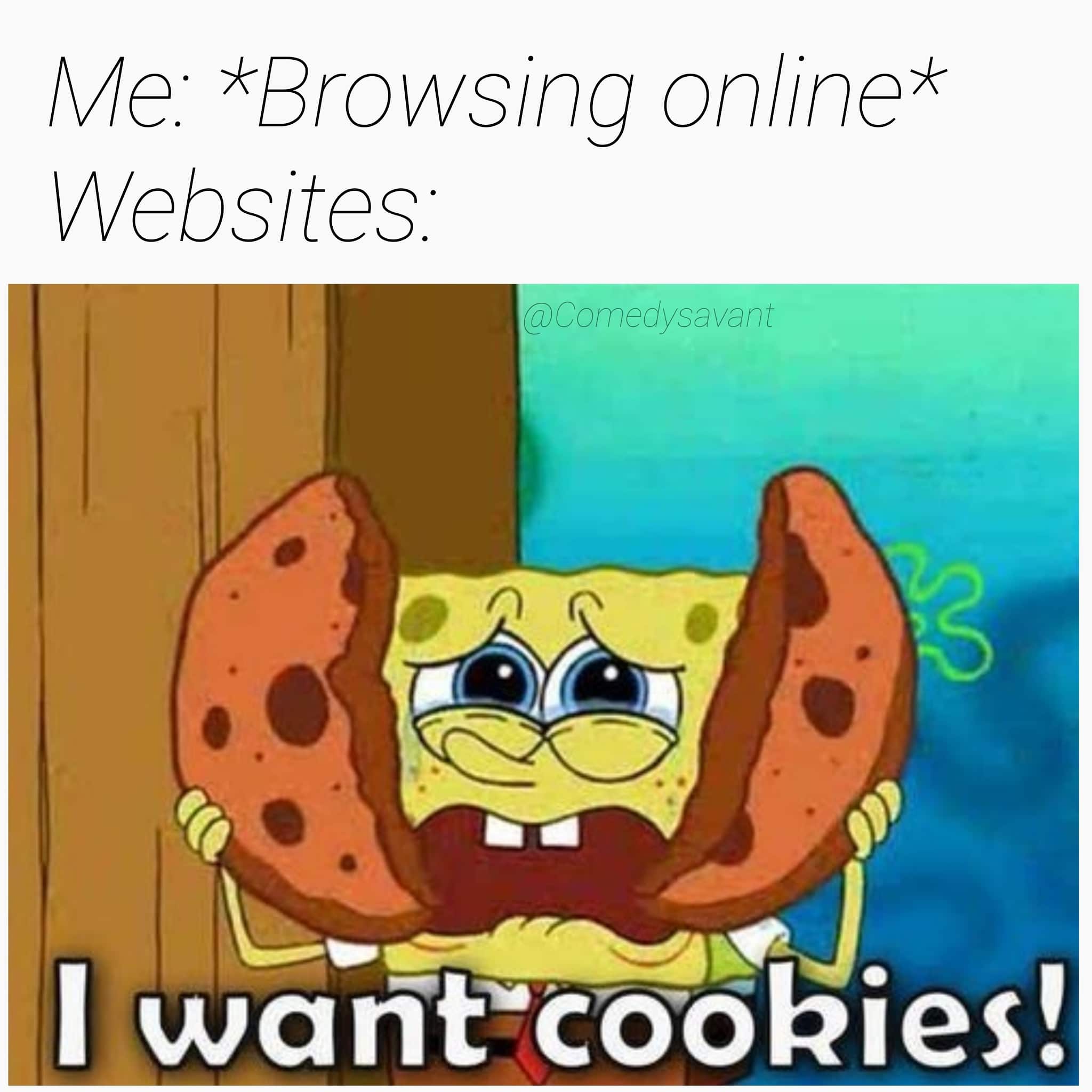 Spongebob, No, JavaScript, Caboose Spongebob Memes Spongebob, No, JavaScript, Caboose text: Me *Browsing online* Websites I wanecoökies! 