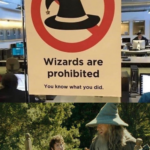 Dank Memes Dank, Wizards, Slut, Rick, Morty, Hermitcraft text: Wizards are prohibited You know what you did. Swit{ypu