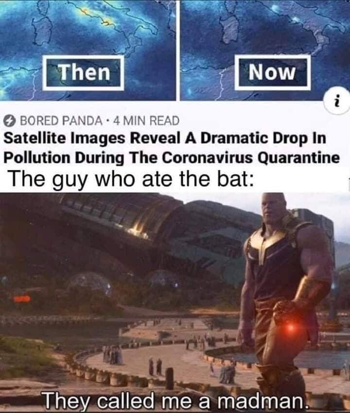 Thanos, Chinese, Thanos, Hong Kong, Endgame, Captain America Avengers Memes Thanos, Chinese, Thanos, Hong Kong, Endgame, Captain America text: Then O BORED PANDA • 4 MIN READ Now Satellite Images Reveal A Dramatic Drop In Pollution During The Coronavirus Quarantine The guy who ate the bat: ..........—They called me a madma 