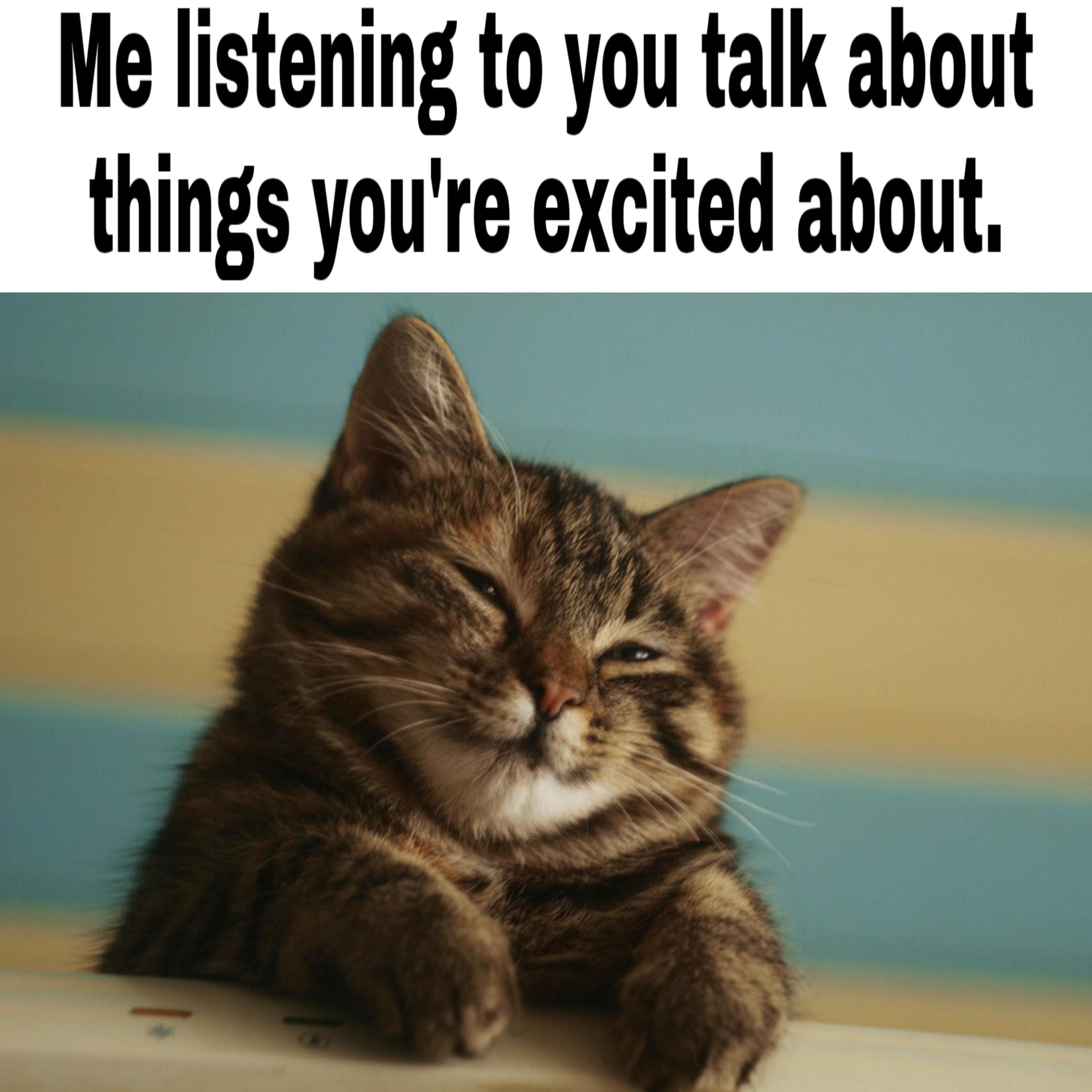 Wholesome memes,  Wholesome Memes Wholesome memes,  text: Me listening to you talk about things you're excited aboutl 