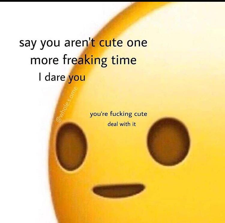Wholesome memes, Bro Wholesome Memes Wholesome memes, Bro text: say you aren't cute one more freaking time I darej ou you're fucking cute deal with it 
