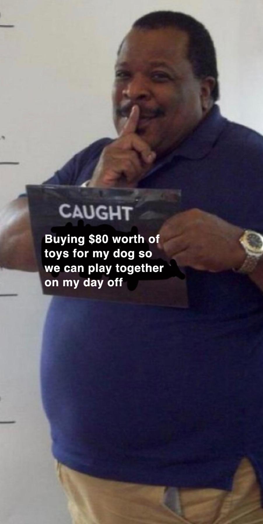 Wholesome memes, HELL NEVER SEE IT COMING Wholesome Memes Wholesome memes, HELL NEVER SEE IT COMING text: CAUGHT Buying $80 worth of toys for my dog so we can play together on my day off 