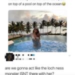 Dank Memes Hold up, Wheel, Spin, HolUp, Americans text: Mariah Carey is so rich she has a pool on top of a pool on top of the ocean are we gonna act like the loch ness monster ISN T there with her?  Hold up, Wheel, Spin, HolUp, Americans