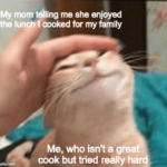 Wholesome Memes Wholesome memes,  text: My mom Wiling me she enjoyed the lunch•l cooked for my family Me, who isn
