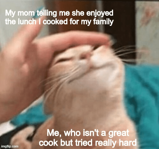 Wholesome memes,  Wholesome Memes Wholesome memes,  text: My mom Wiling me she enjoyed the lunch•l cooked for my family Me, who isn't a great ' cook but tried really ha 