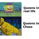 other memes Funny, Queen, England, Elizabeth, Queens, Elizabeth II text: Queens in real life Queens in Chess 