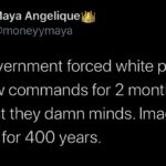 Black Twitter Memes Tweets, American, Fuddruckers, Stay, Irish, Hati text: Maya AngeliqueU @moneyymaya The government forced white people to follow commands for 2 months and they lost they damn minds. Imagine doing it for 400 years. 