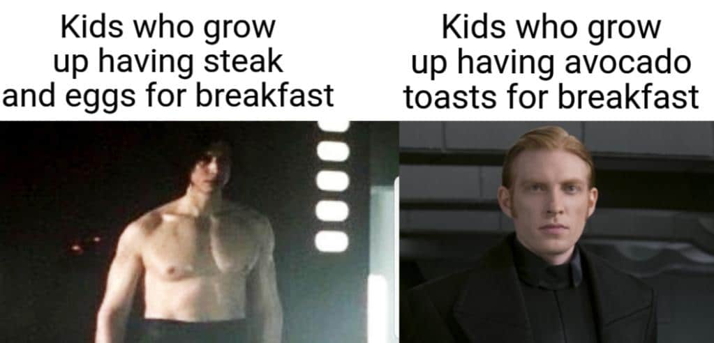 Sequel-memes, Kids, Hux, Hutt, Finn Star Wars Memes Sequel-memes, Kids, Hux, Hutt, Finn text: Kids who grow up having steak and eggs for breakfast 1 Kids who grow up having avocado toasts for breakfast 