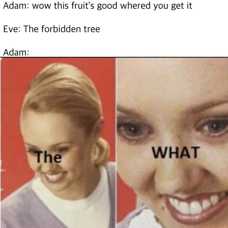 Christian, God, Adam, Genesis, So God Christian Memes Christian, God, Adam, Genesis, So God text: Adam: wow this fruit's good whered you get it Eve: The forbidden tree Adam: WHAT 