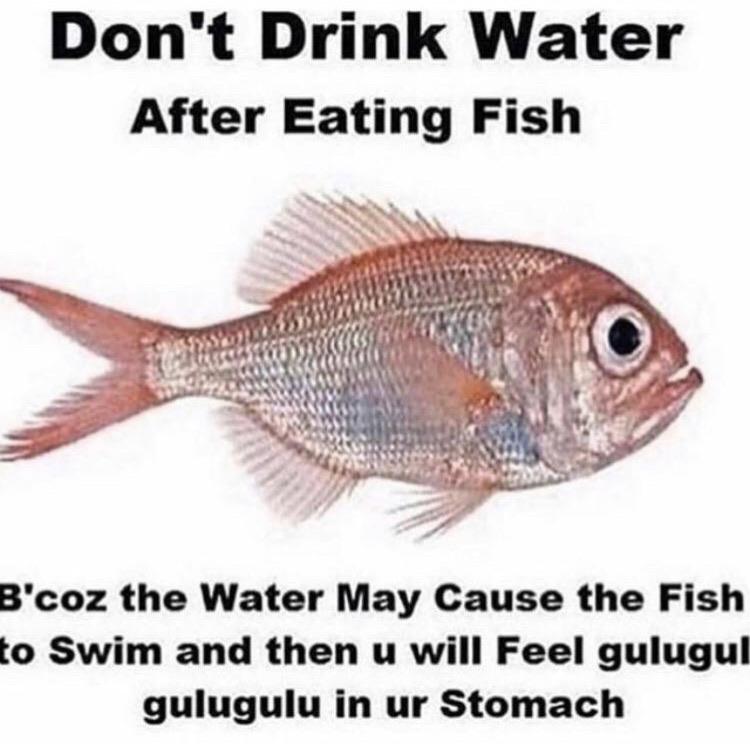 Cringe, Phish cringe memes Cringe, Phish text: Don't Drink Water After Eating Fish B'coz the Water May Cause the Fish to Swim and then u will Feel gulugul gulugulu in ur Stomach 