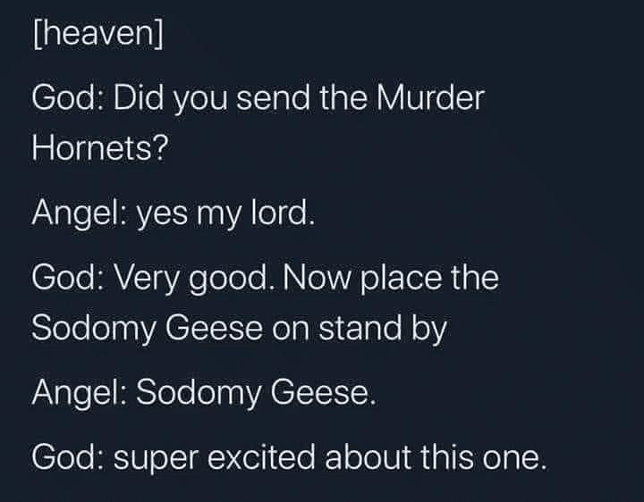 Christian, REPENT Christian Memes Christian, REPENT text: [heaven] God: Did you send the Murder Hornets? Angel: yes my lord. God: Very good. Now place the Sodomy Geese on stand by Angel: Sodomy Geese. God: super excited about this one. 