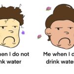 Water Memes Water, TotesMessenger text: Me when I do not drink water Me when I do drink water 