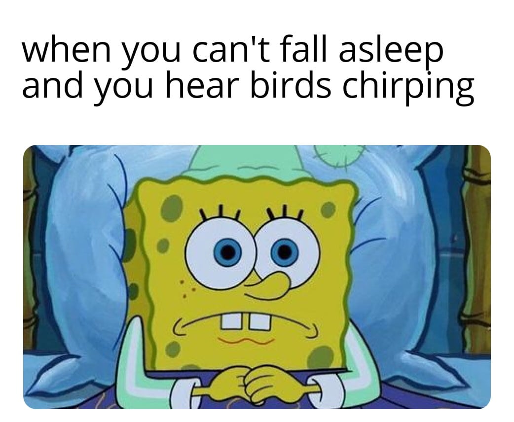 Spongebob,  Spongebob Memes Spongebob,  text: when you can't fall asleep and you hear birds chirping 