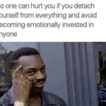 depression memes Depression,  text: No one can hurt you if you detach yourself from everything and avoid becoming emotionally invested in anyone  Depression, 