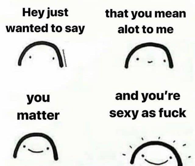 Cute, wholesome memes,  Wholesome Memes Cute, wholesome memes,  text: Hey just wanted to say you matter that you mean alot to me and you're sexy as fuck 