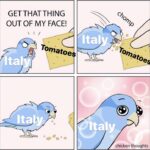 History Memes History, Italian, Europe text: GET THAT THING OUT OF MY FACE! matoe flt