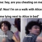 other memes Funny, HolUp, Bed text: me: hey, are you cheating on me? gf: Noo! 11m on a walk with Alice "me lying next to Alice in bed" Fuck g  Funny, HolUp, Bed
