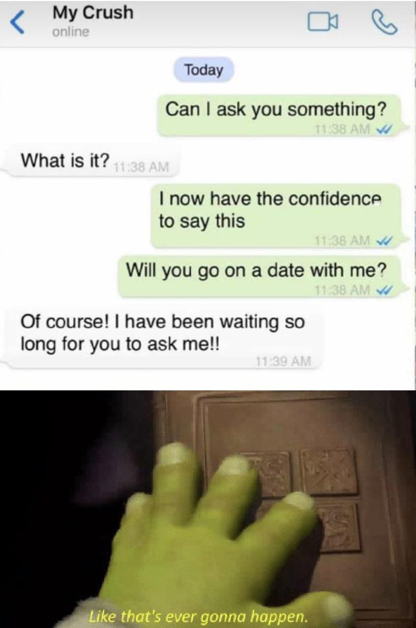 Dank,  other memes Dank,  text: My Crush online Today Can I ask you something? What is it? I now have the confidence to say this Will you go on a date with me? Of course! I have been waiting so long for you to ask me!! Like that's ever gonna hop en. 