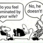boomer memes Cringe, Wife text: Do you feel dominated by your wife? No, he doesn