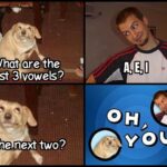 other memes Funny, Dog, ComedyCemetery text: What are the first 3 vowels? The next two? YOU!  Funny, Dog, ComedyCemetery