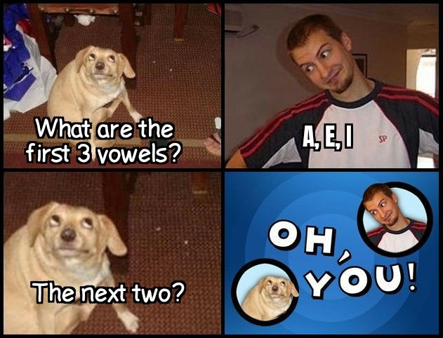 Funny, Dog, ComedyCemetery other memes Funny, Dog, ComedyCemetery text: What are the first 3 vowels? The next two? YOU! 