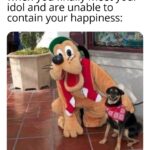 Wholesome Memes Wholesome memes,  text: when you finally meet your idol and are unable to contain your happiness:  Wholesome memes, 