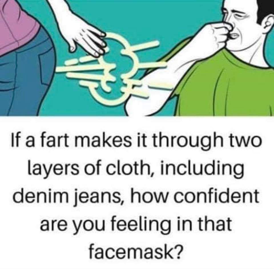 Cringe, TX DPS cringe memes Cringe, TX DPS text: If a fart makes it through two layers of cloth, including denim jeans, how confident are you feeling in that facemask? 
